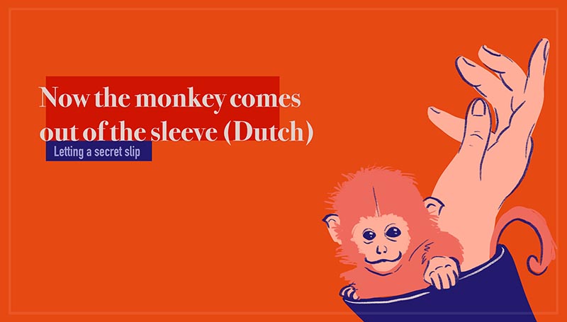 Now the monkey comes out of the sleeve - Nu komt de aap uit de mouw (Dutch)