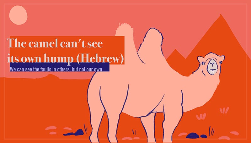 The camel can't see its own hump - הגמל לא רואה את הדבשת של עצמו (Hebrew)